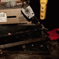 To The Grave : Cut Off the Head